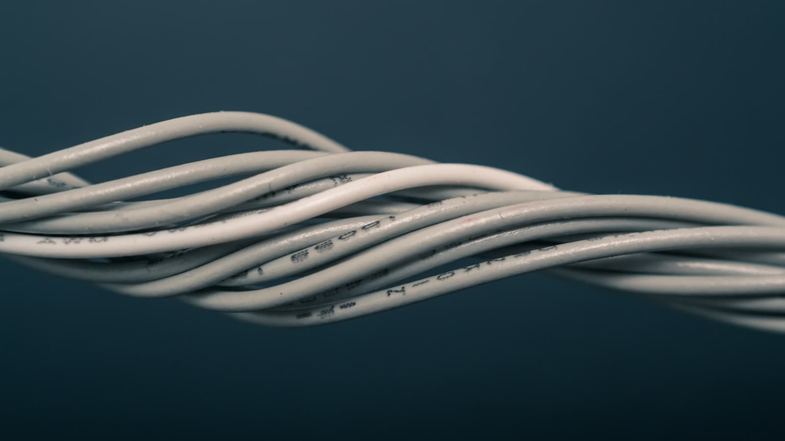 Coiled gray and white cable, minimalist composition
